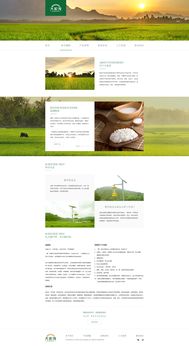 打造卓越體驗(yàn) 大家發(fā)食品網(wǎng)頁(yè)設(shè)計(jì)與軟件開(kāi)發(fā)全攻略